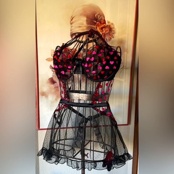 NWT Victoria’s Secret Sheer Sweet Négligé Top Piece Hearts Lace XL - Picture 1 of 7